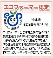土づくりや減化学肥料・減農薬などの環境に優しい農業に取り組む農業者を対象とした、エコファーマー制度の認定果樹園です。安心・安全なマンゴーをお届けします。